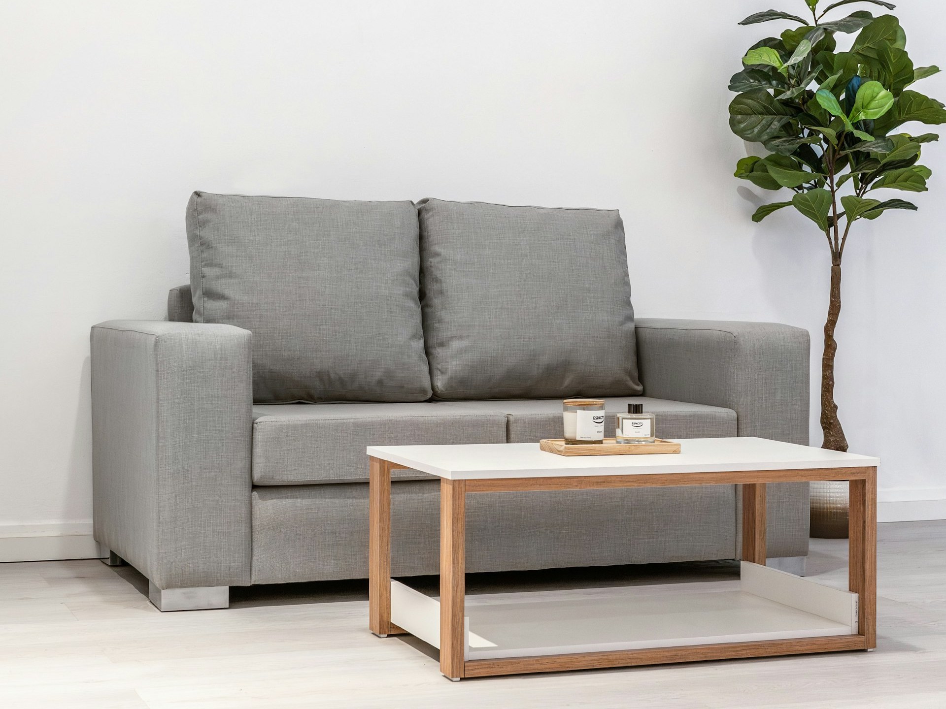 Czysta szara sofa ze stolikiem kawowym i rośliną